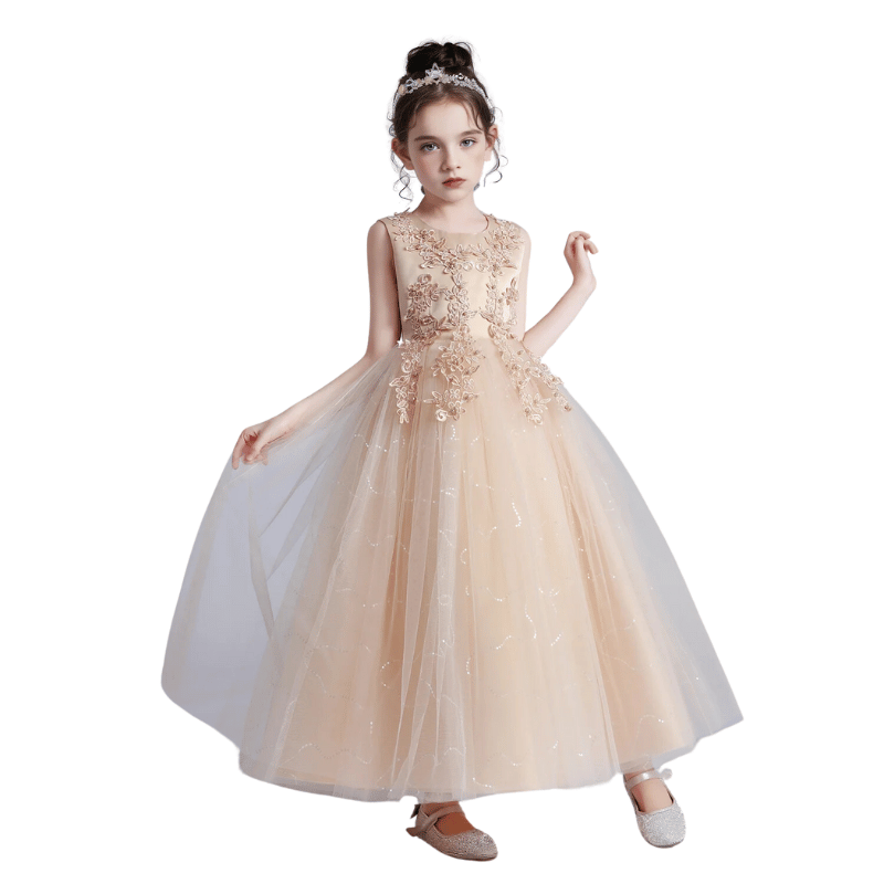 Vestido Infantil Com Renda e Tule Princesa Champanhe - Vilumagazine