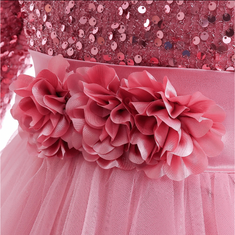 Vestidos de Festa Infantil Estilo Princesa Com Manga Longa Rosa - Vilumagazine